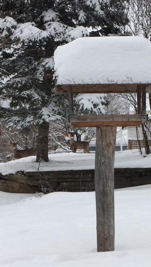 Gite Duchenier Saint-Narcisse-de-Rimouski 外观 照片